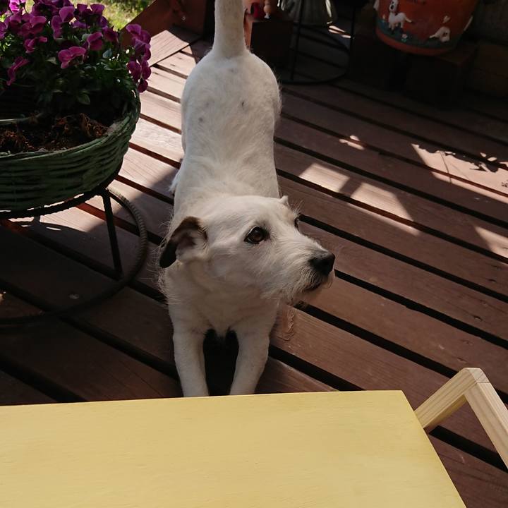 7e267bcb f9ce 456a a412 fa6438c08025 1522026149081