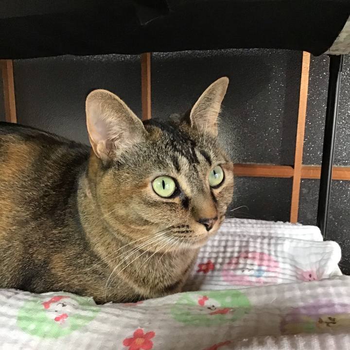 7e26e5ec ea1a 4ac2 9c04 0392d010a1d8 1642653789502