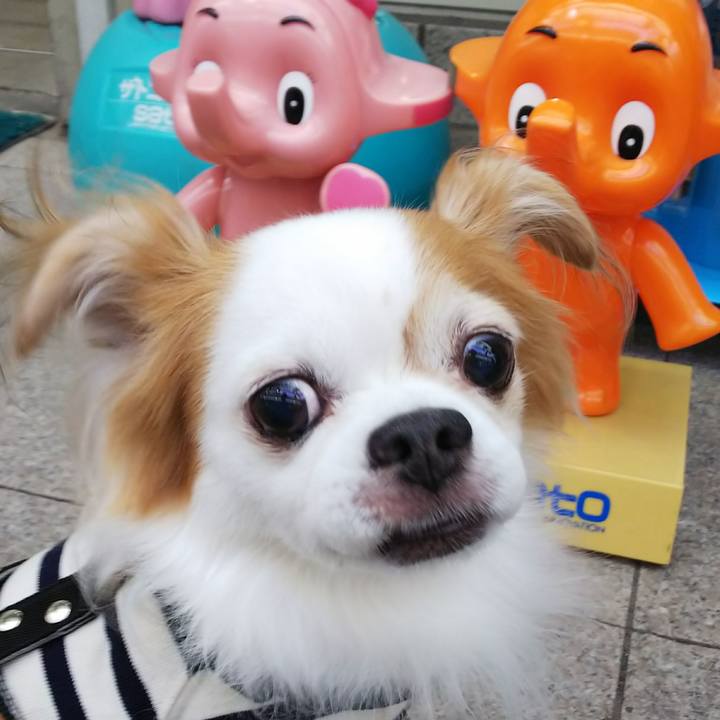 7e26f581 37db 4346 8182 1d76c507c1ff 1535792371628