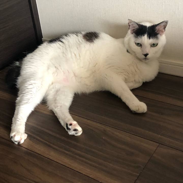 7e27066e a38c 4efe a205 d7b5668f619c 1562801436922