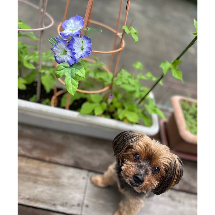 7e270e5e 4694 43ce ab8e d0ff1e0327da 1719706745006