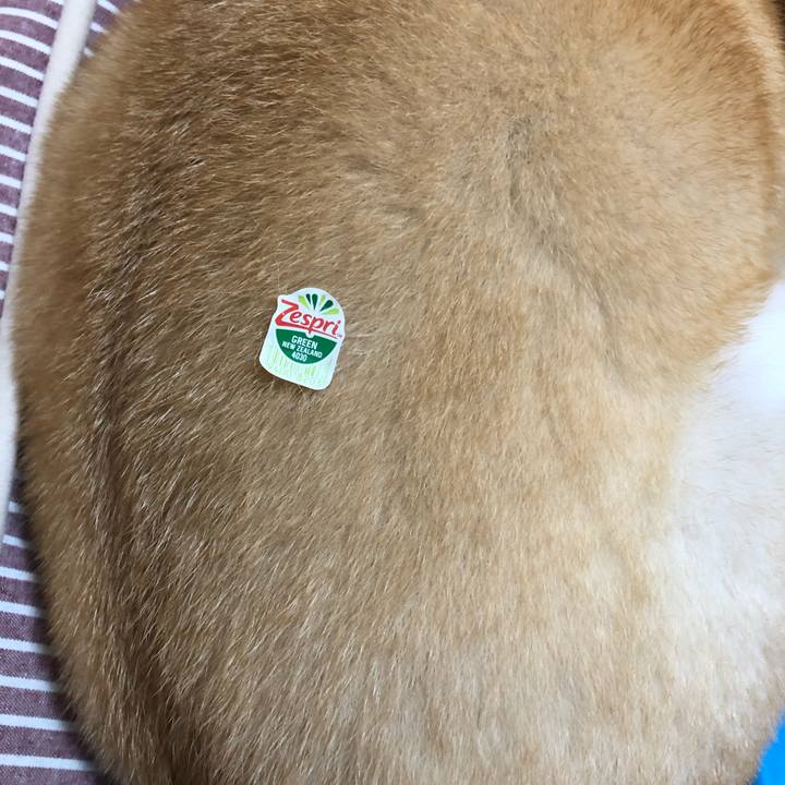 7e271892 a4ed 4650 951b 17d9c6749fda 1597899123324