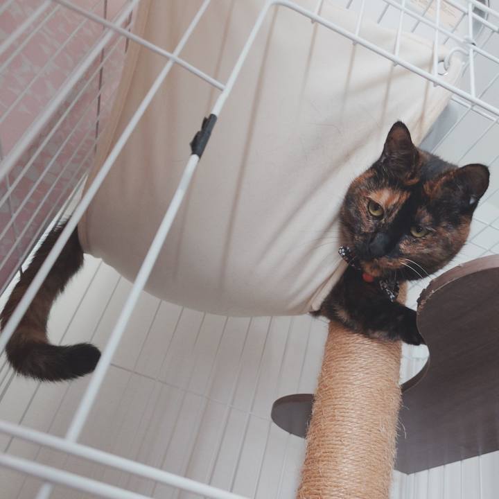 7e272d1d 3c98 4d61 b210 08b69b081961 1756554486541