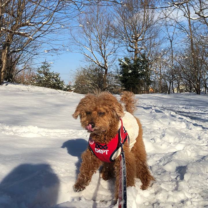 7e27541c f06b 4a9a b171 acfb5e71d8ee 1609408902194