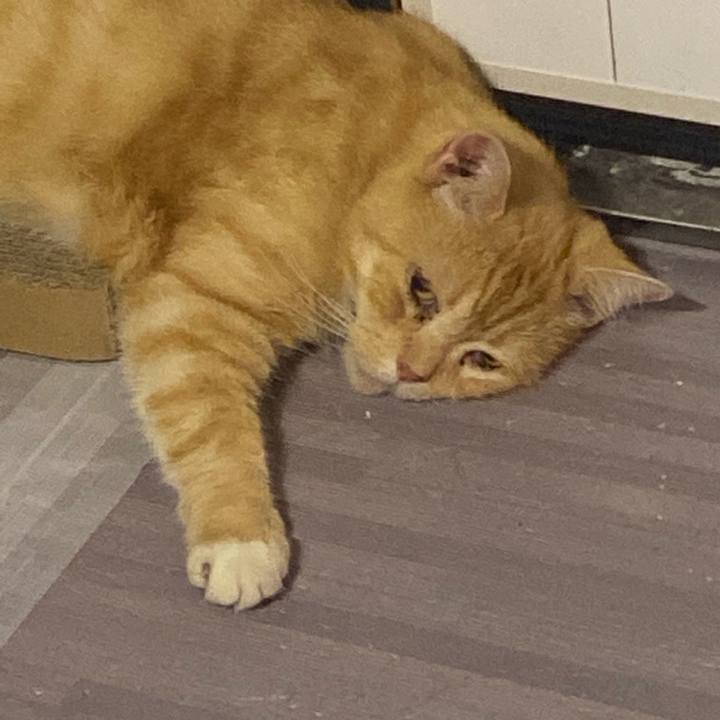 7e275479 93bd 4126 b9c8 1af8ec002563 1626956973893