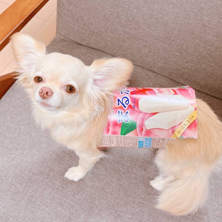 7e27c871 b5c6 4913 81d6 fe38836786b1 1656936777801