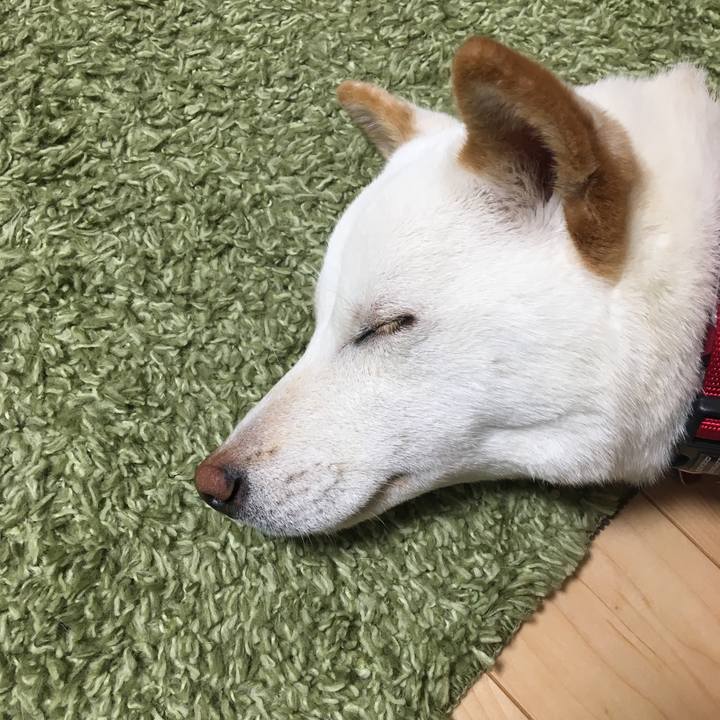 7e27ec5d 5809 4831 a616 5233d4edb34b 1515685810392