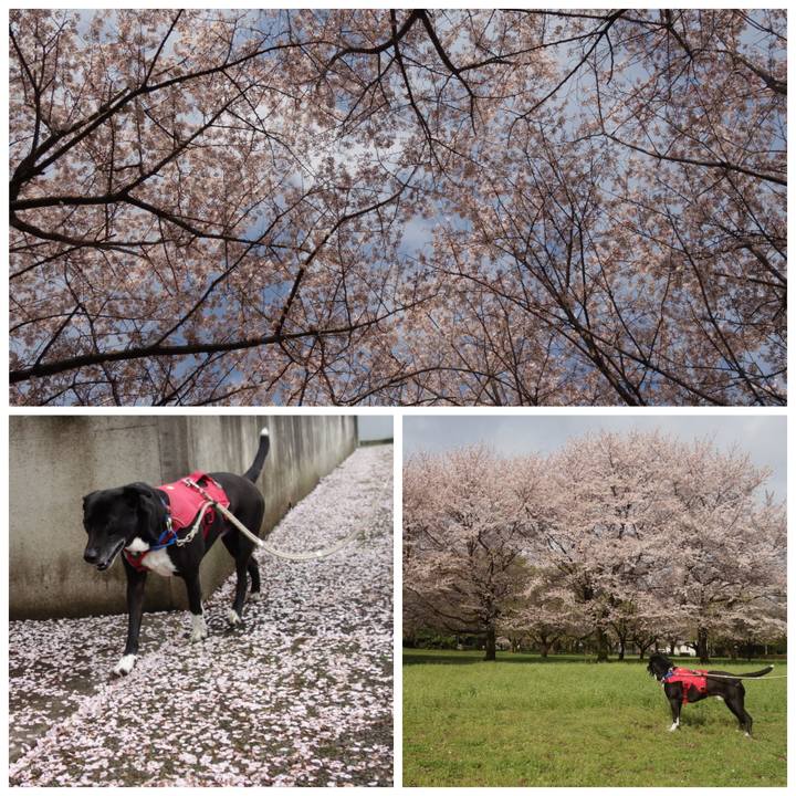 7e27f22a 37dd 4833 a16a 1841def5f946 1680139104887