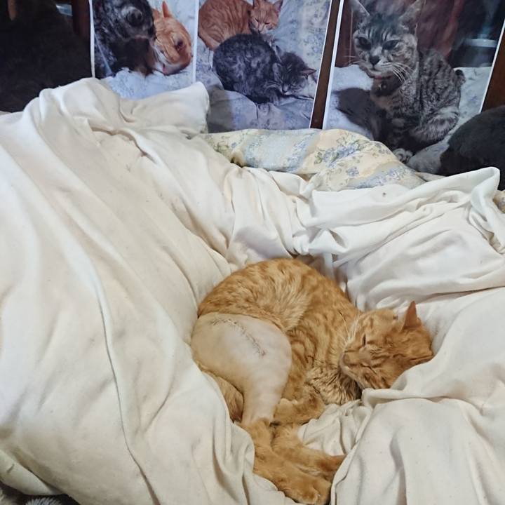 7e281e69 a8d0 4de1 82e7 296e4ccabfe8 1653878263549