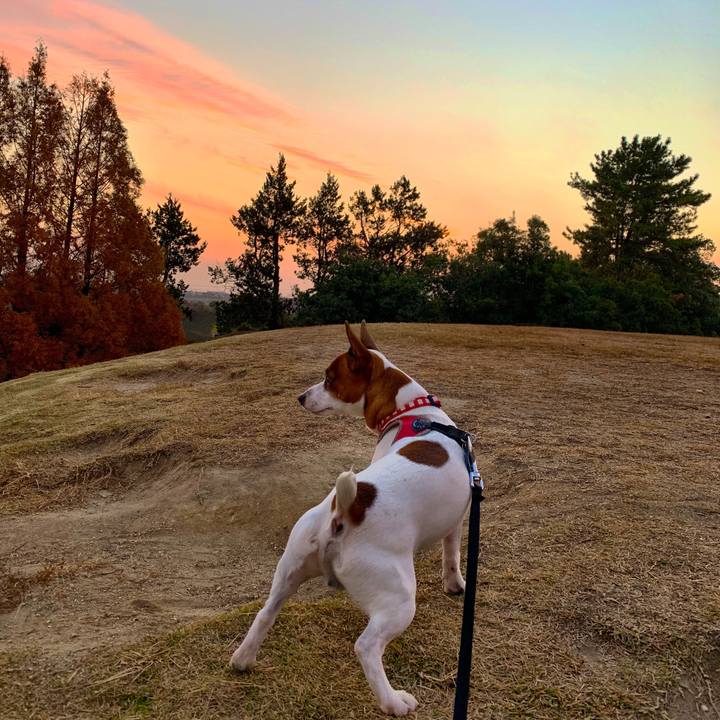 7e288991 8aa6 48d8 92b5 5caccbfb76c9 1543675564789