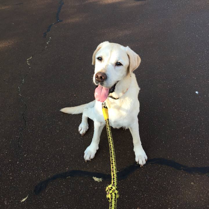 7e28c471 973a 4436 9624 d95dd79e869b 1533431628946