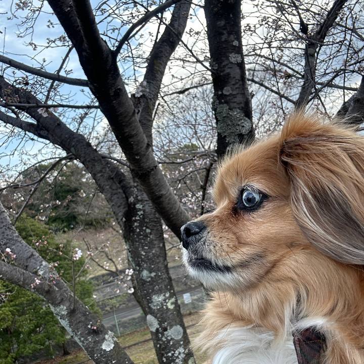 7e28d166 2207 4a3f 8015 2606f7f3a7c8 1743206107031