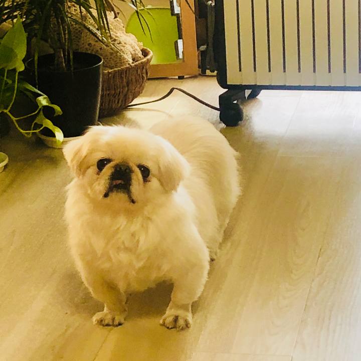 7e29032c 0a23 44e7 8a81 9056647892db 1550292655389