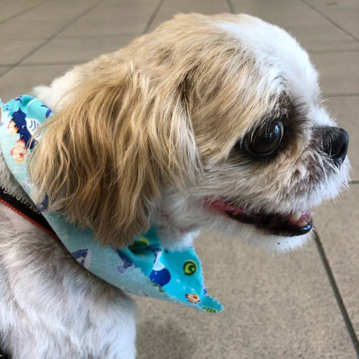 7e296269 151b 4fd2 a888 3892ce350aec 1598306010576