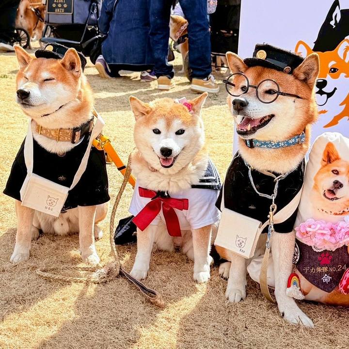 7e2968ce e63f 4ae2 a433 300802d8ee40 1772519365091