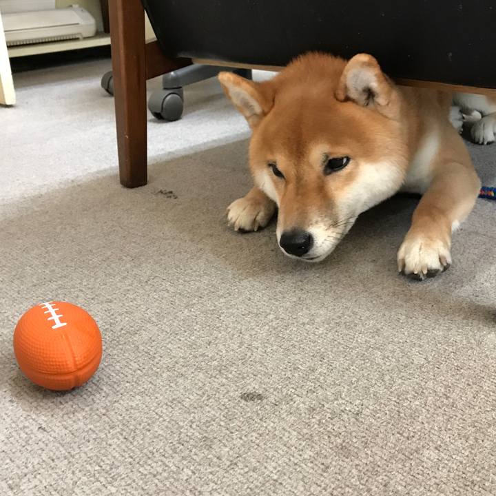 7e296bff 1d92 41f2 a3d2 ea6c135490e7 1518584082609