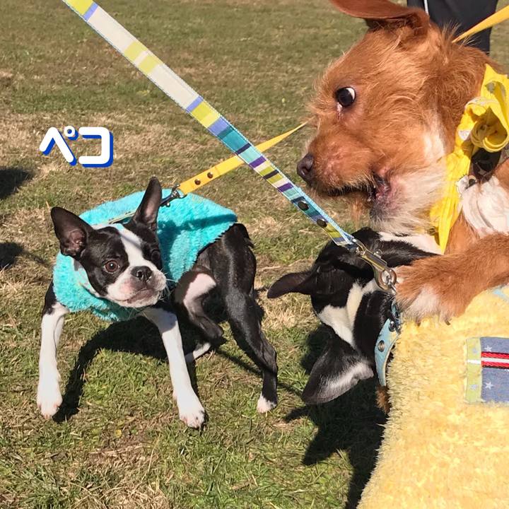 7e29e8bb 6bbb 4ba6 a389 742f101695cd 1546078390374