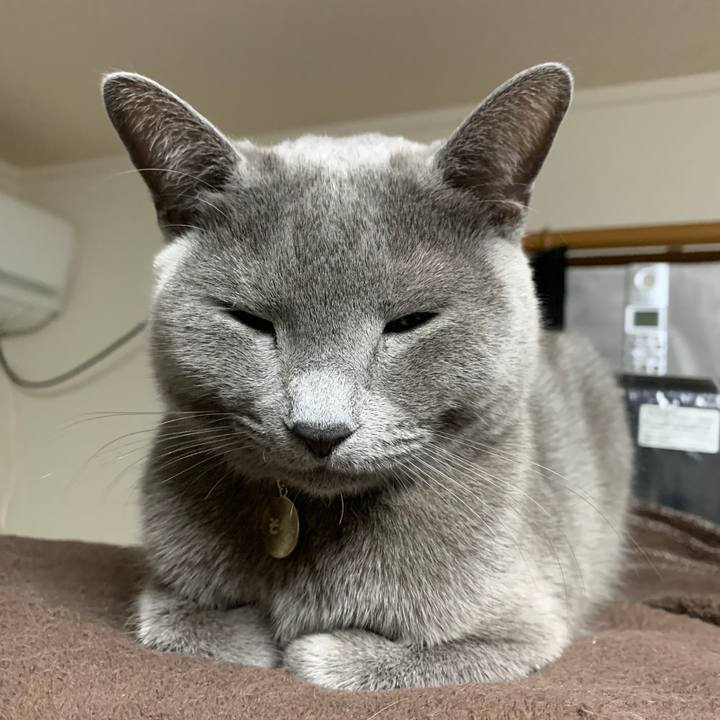 7e2a3ef7 4e0a 451f b90d ecd89cc10b90 1609064041244