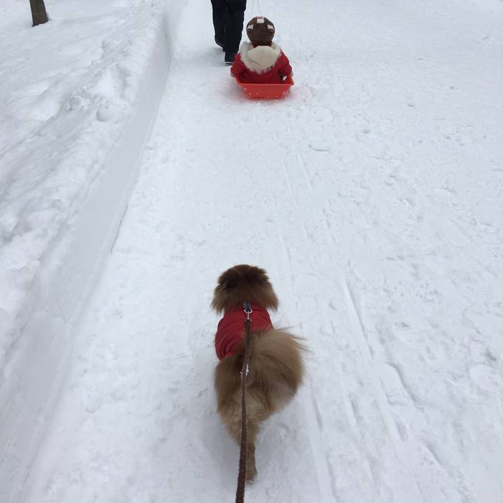 7e2a5522 d36f 437b 81ca 7de3bff1fdc2 1518057268423