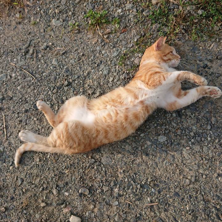 7e2a6b95 a30b 4a76 a2dd 4b8555254d89 1562102064599