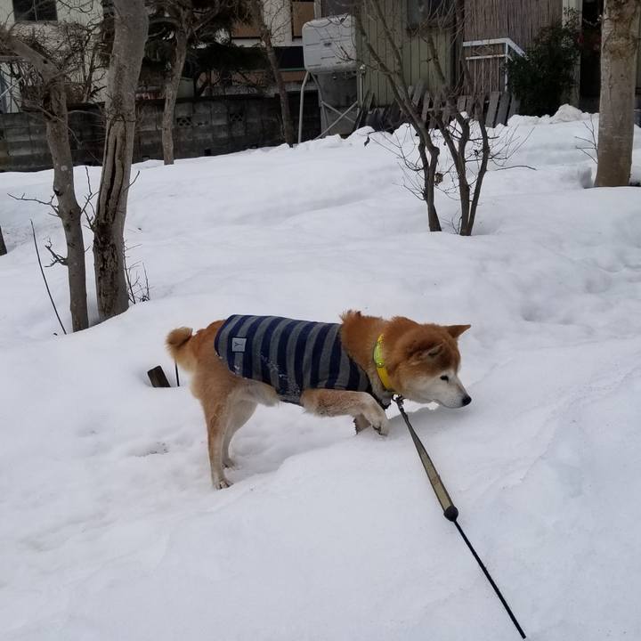 7e2a7143 f218 49d6 9324 e23433eeabb7 1676262874238