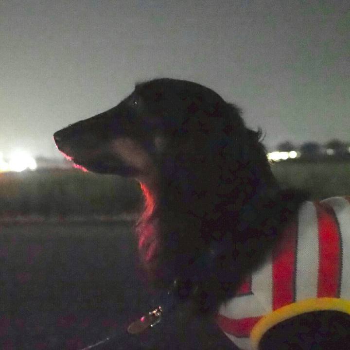 7e2ac3e9 0984 4027 86b8 0d2a5d4e425d 1595338969988