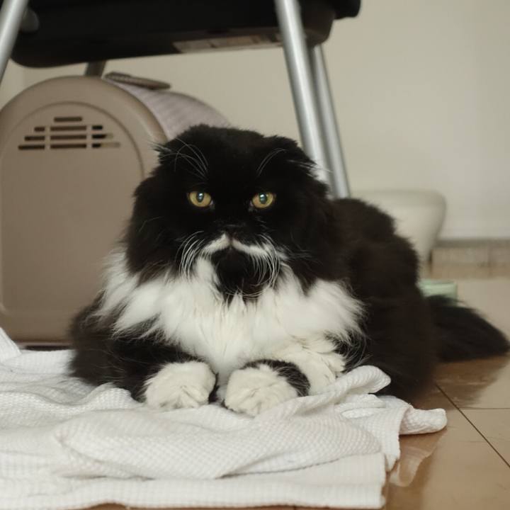 7e2b0ee9 c2f4 483c abba 1e97e564397b 1538233229866