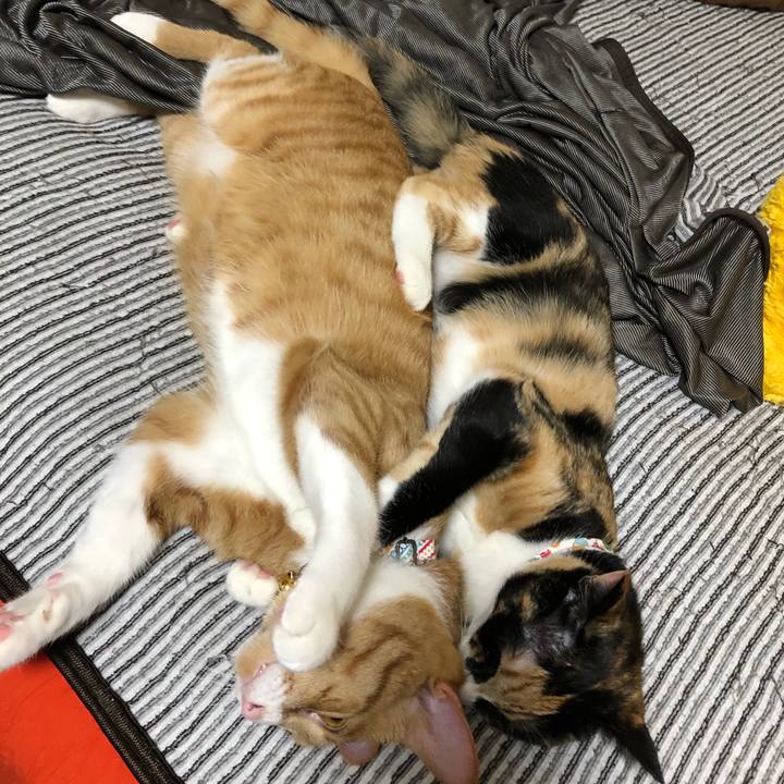 7e2b47fa 965e 47a7 b329 a7ab6d287841 1569901330695