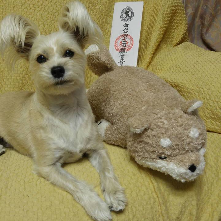 7e2b9285 0d87 4ecb 8f7e b04f8d48eff9 1511445593535