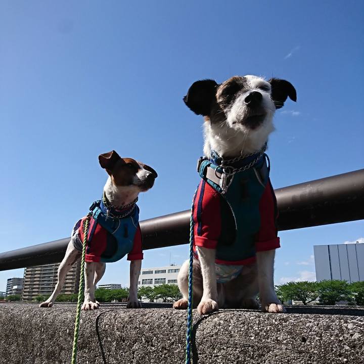 7e2b963e e63f 4207 91d7 f391b73228f3 1588841618764