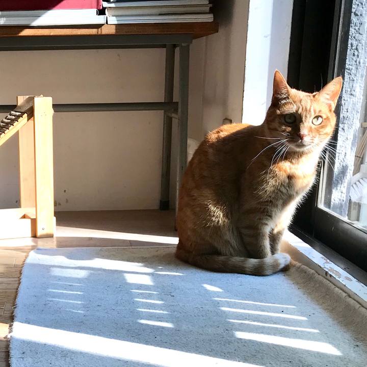 7e2badf6 97d9 4fbf 8d51 7f8c09395f6c 1512550226909