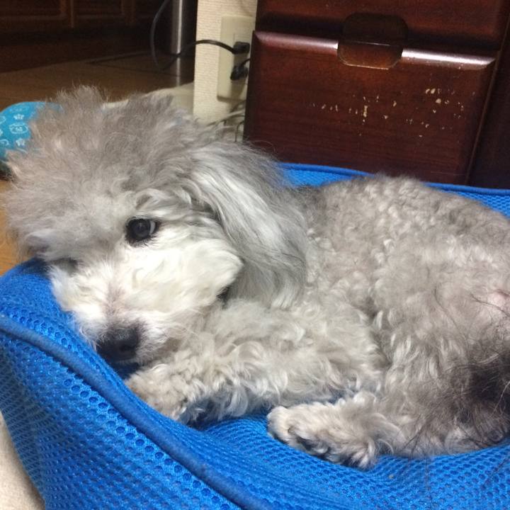 7e2be494 1750 4f6b 9887 2f9b345db466 1511869736980