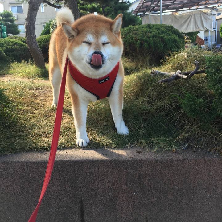 7e2c3965 9153 4cc6 a2a2 37d3fbd78adf 1598744487618