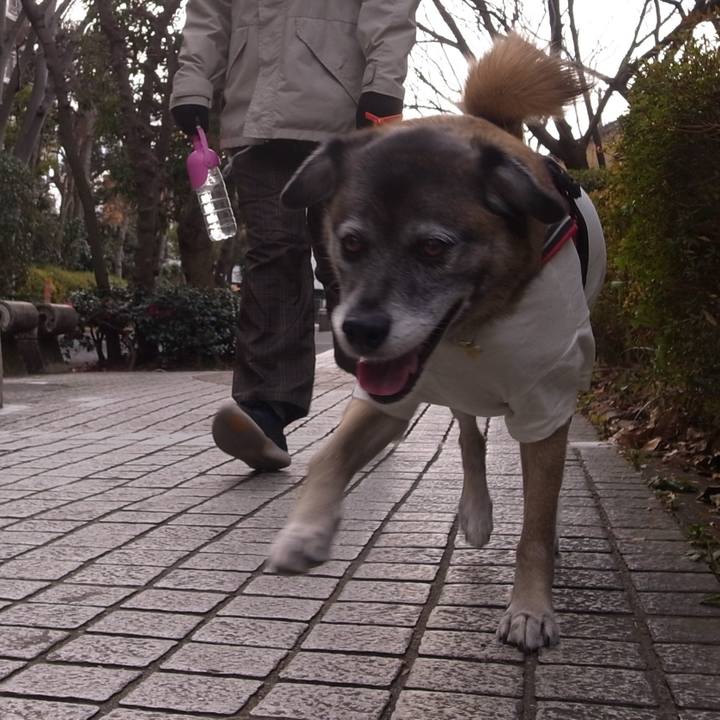 7e2c41c1 9e33 476e 9a76 0841bbd97c2a 1594722939351