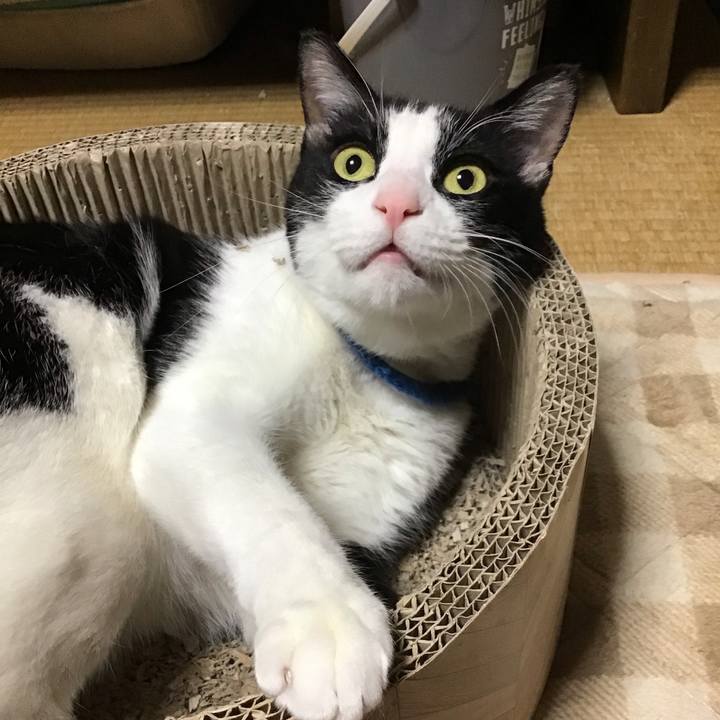 7e2c8dc8 eea2 470d a5f5 6c2f93003cfb 1702207894399