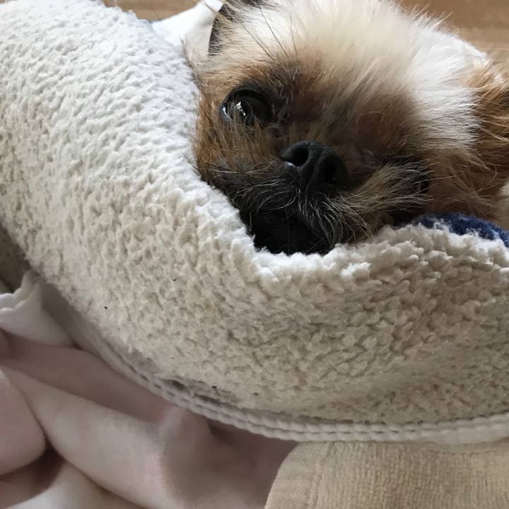 7e2c8df6 f31c 4b39 befb dfcda7aa3112 1527651590672