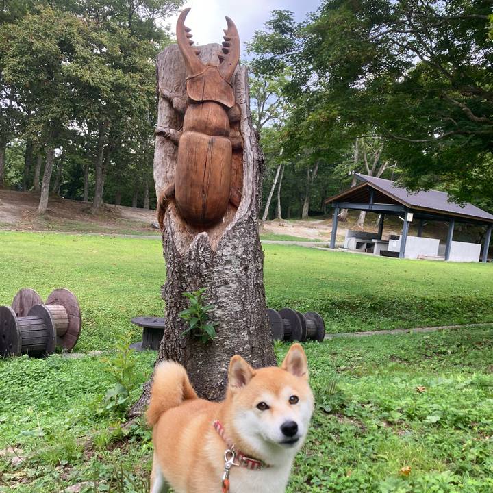 7e2ca9f6 d212 4820 aaa5 76efbd00d983 1694668979747