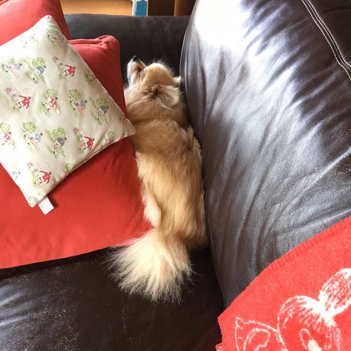 7e2cc5eb 120b 4c46 895f b4c82813f60b 1524120925107