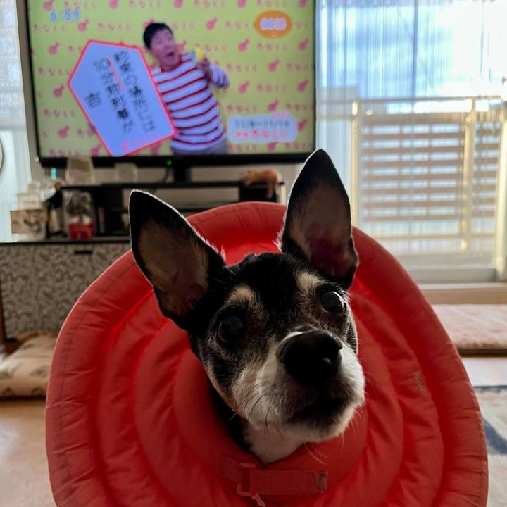 7e2cee74 e4eb 405d af2e e819b8ef516b 1636323228235