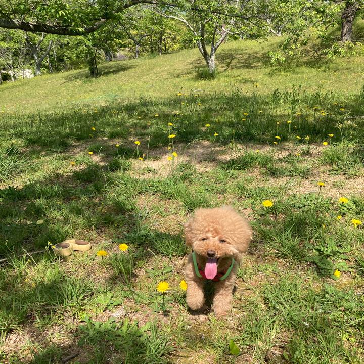 7e2cf6c5 331a 45dd aded 46e2a37097db 1684321629787