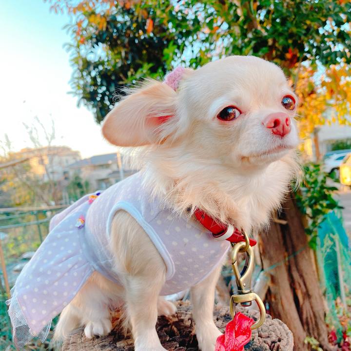 7e2d0f9b bcad 40a5 af66 642031c27383 1638433269186