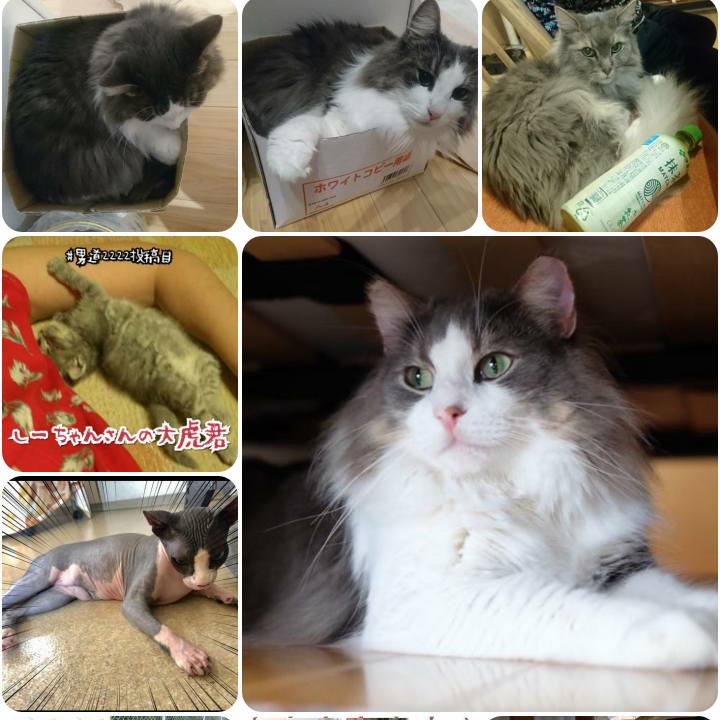 7e2d439d ea79 4c9f bb7e a4c87a35f186 1566983907512