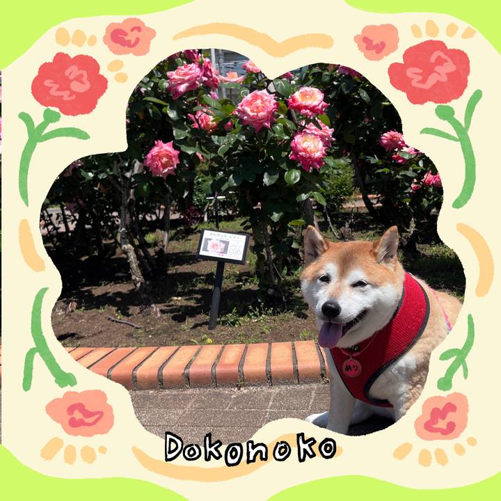 7e2d6a4e 1193 42c7 a19f 9a74a6379253 1715468433688