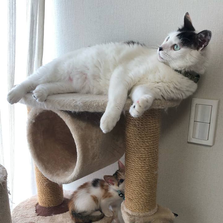 7e2d93c6 cc9d 4ff6 9ce4 885830e9a808 1562110341820