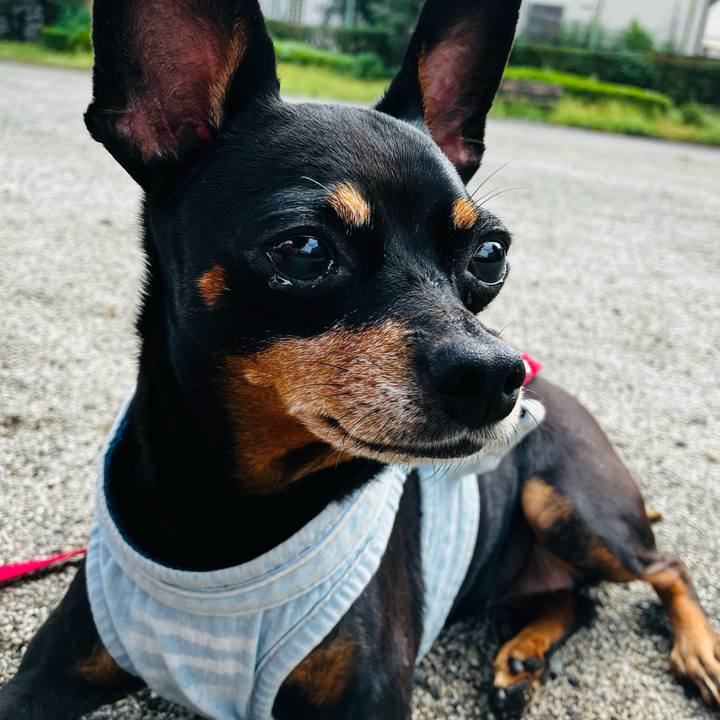 7e2d9517 1b0c 4967 be99 acb1bcbcd176 1757840875436