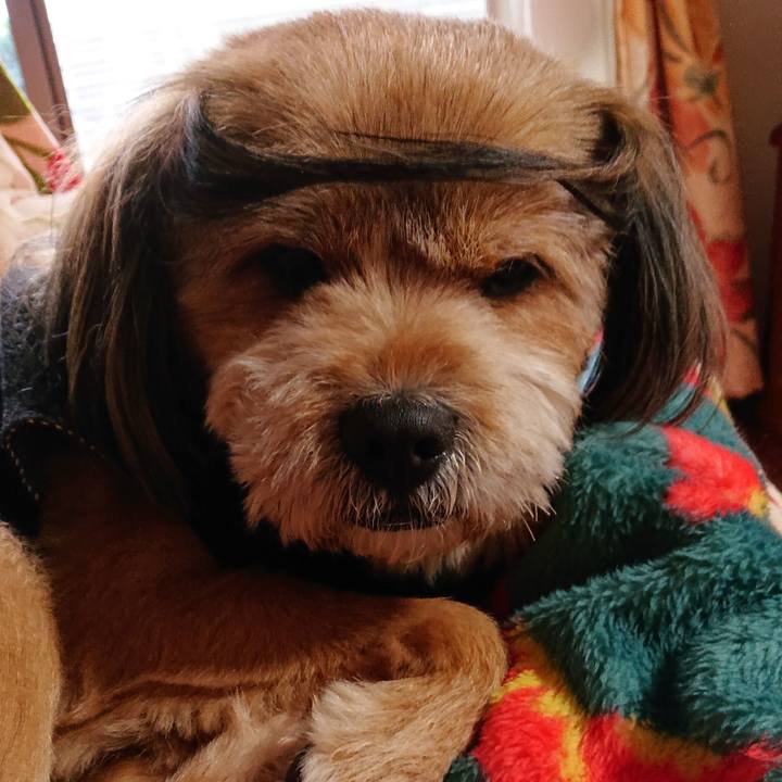 7e2dc331 dcea 45bb ab59 3cc7a4ee1245 1546729227953