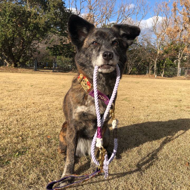 7e2dc49d 2c29 40bb 9e7d 3eba45700079 1614249627377