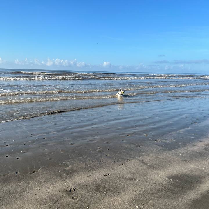 7e2dc8fc fad1 4a9f 9666 2b742deb504b 1723587112221