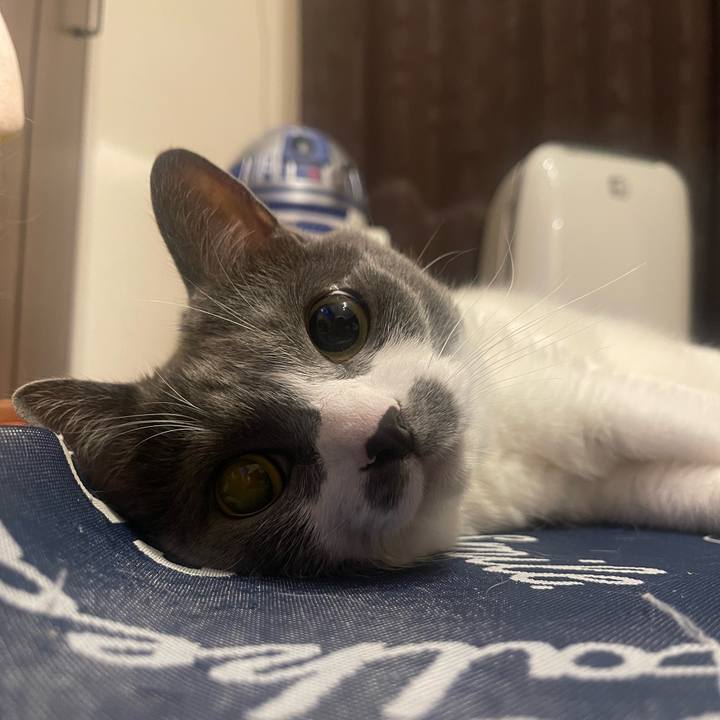 7e2dfa6e 3777 4a11 b4b5 81a37e9fa6bf 1750352880596