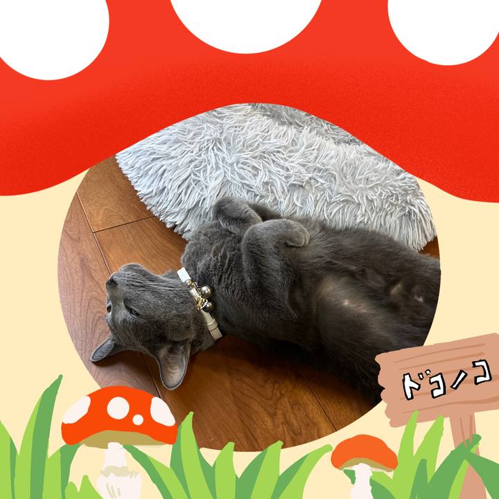 7e2e3a3e 8116 4ffb 96c2 4605a4a7d1d2 1729064188105